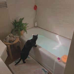 赤裸航空女服务员√视频
