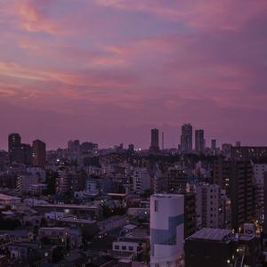 赤裸航空女服务员√视频
