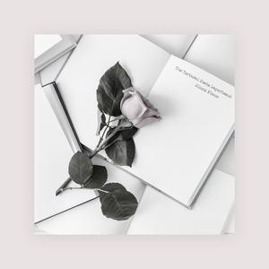 赤裸航空女服务员√视频
